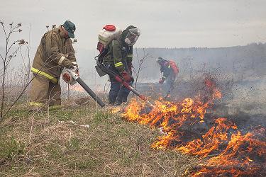 Профилактика лесных пожаров на особом контроле